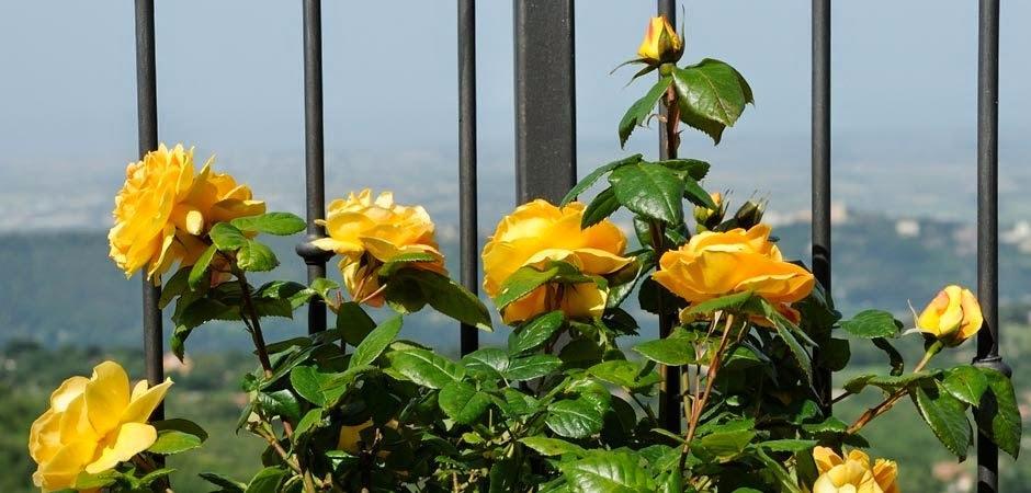 Villa Dei Fantasmi Rocca Di Papa Dış mekan fotoğraf